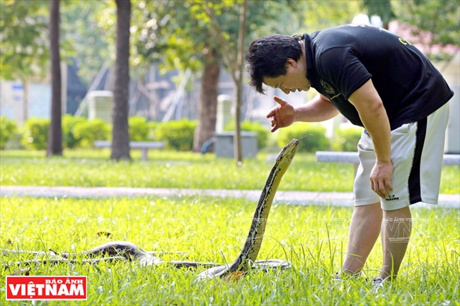 “Chàng Thạch Sanh” và sở thích chinh phục những con trăn lớn ảnh 3