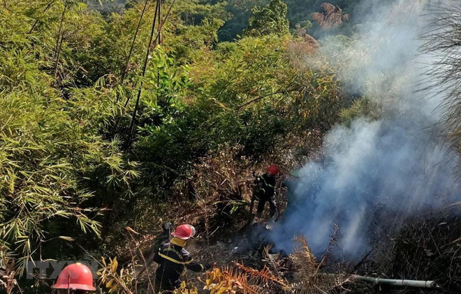 Quảng Ngãi: Nắng nóng gay gắt, cảnh báo nguy cơ cháy rừng ảnh 1