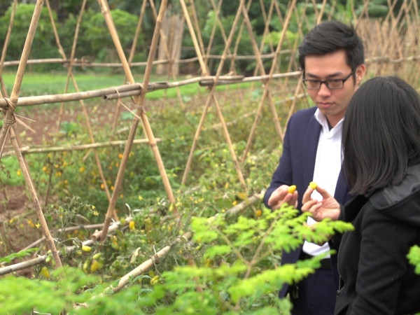 “Hot boy 9X” bỏ nghề ngân hàng về đi trồng rau sạch ảnh 2