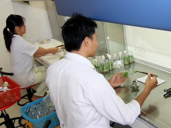 Việt Nam cần quy hoạch nhân lực ngành năng lượng nguyên tử ảnh 1