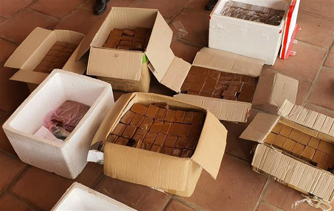 Thanh Hóa: Triệt phá đường dây mua bán hổ để nấu cao ảnh 1