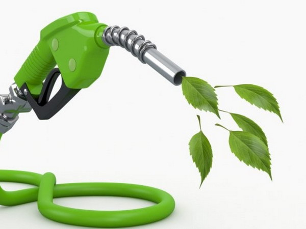 WTO ủng hộ Argentina trong vụ kiện EU áp thuế xăng sinh học ảnh 1