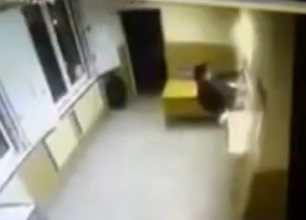 Tên trộm liều lĩnh chạy trốn khi đang ngồi trong đồn cảnh sát ảnh 1