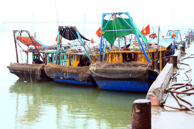 Các địa phương đảm bảo an toàn cho người dân trước cơn bão số 5 ảnh 2