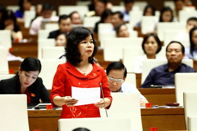 Quy định cụ thể các chính sách khuyến khích, thúc đẩy ngoại thương ảnh 1