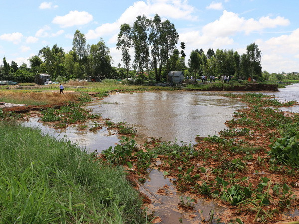 An Giang: Làng hoa An Thạnh có nguy cơ bị "xóa sổ" vì sạt lở đất ảnh 1