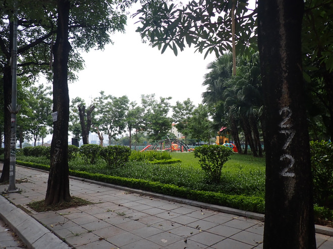 Quản lý phát triển đô thị: Cần bảo đảm bền vững theo mạng lưới ảnh 3