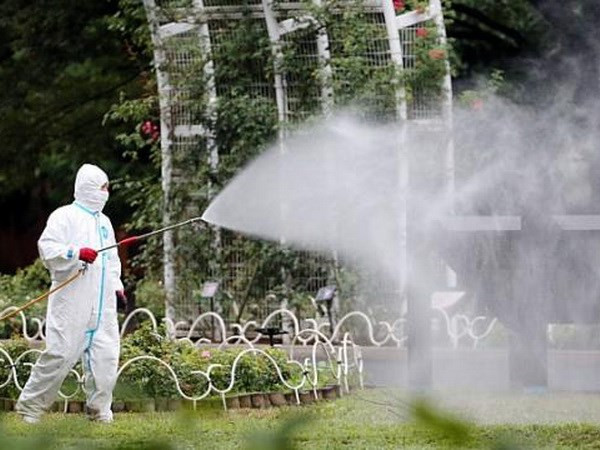 Thêm nhiều ca nhiễm mới bệnh sốt xuất huyết ở Nhật Bản ảnh 1