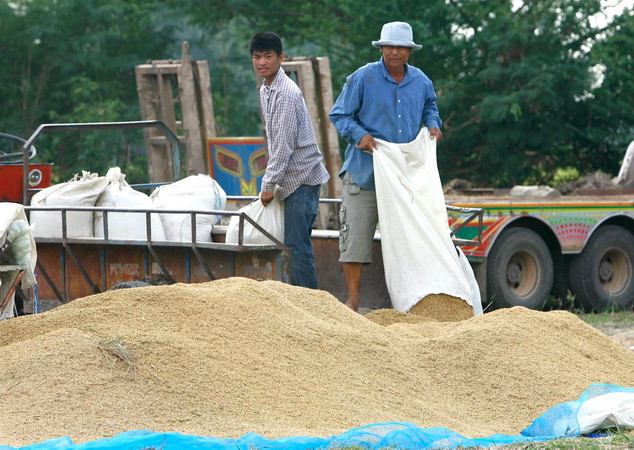 Thái Lan áp dụng nhiều biện pháp ổn định thị trường lúa gạo ảnh 1