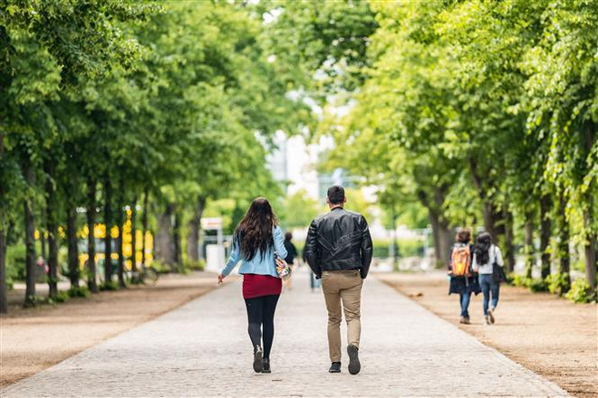 Đức chấm dứt kiểm soát biên giới, dỡ bỏ cảnh báo đi lại trong EU ảnh 1