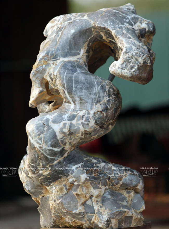 "Hô biến" những khối đá xù xì thành tác phẩm bonsai tinh xảo ảnh 5