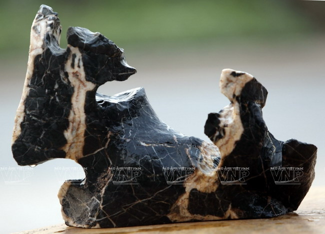 "Hô biến" những khối đá xù xì thành tác phẩm bonsai tinh xảo ảnh 14