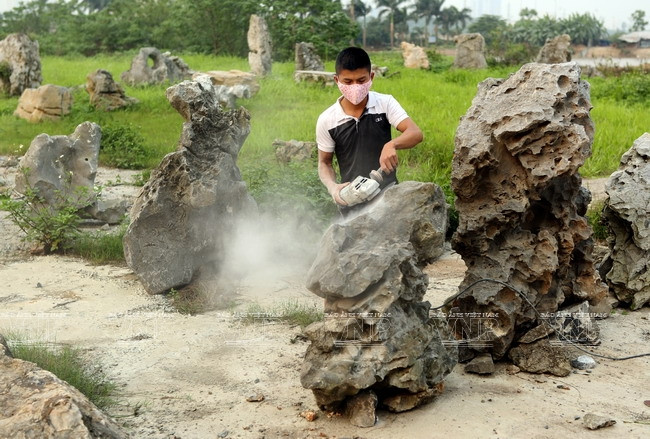 "Hô biến" những khối đá xù xì thành tác phẩm bonsai tinh xảo ảnh 1