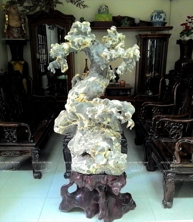 "Hô biến" những khối đá xù xì thành tác phẩm bonsai tinh xảo ảnh 4