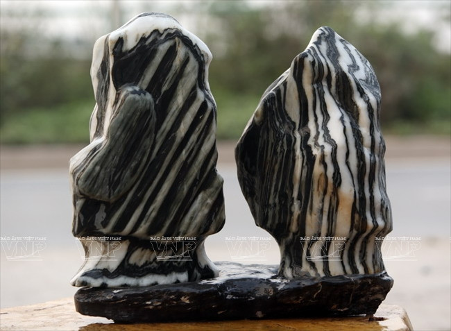 "Hô biến" những khối đá xù xì thành tác phẩm bonsai tinh xảo ảnh 8