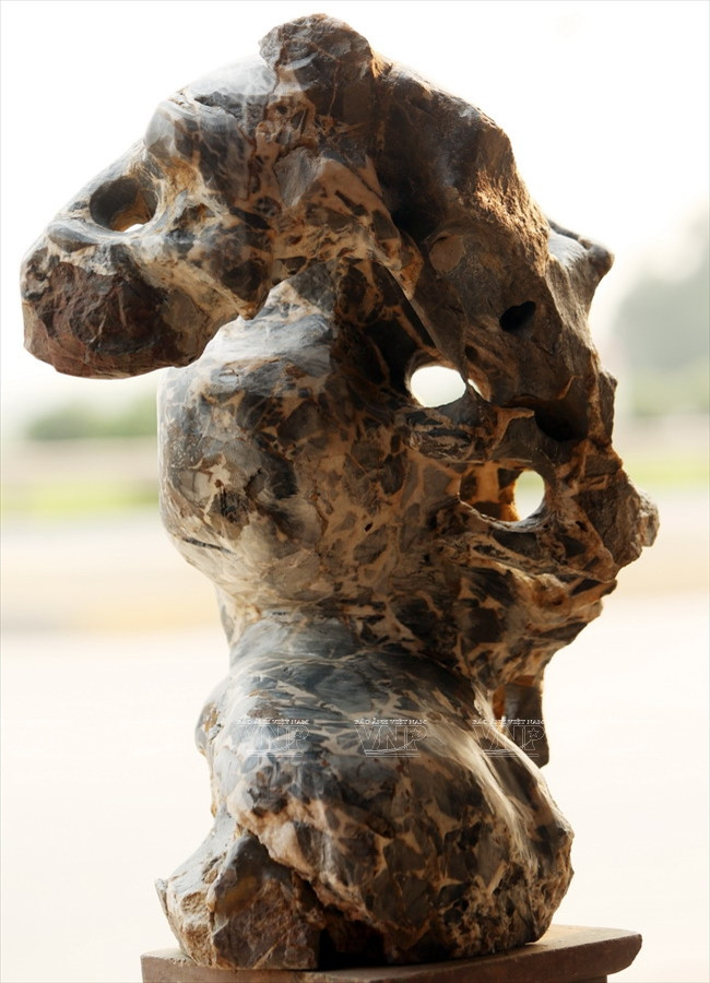 "Hô biến" những khối đá xù xì thành tác phẩm bonsai tinh xảo ảnh 7