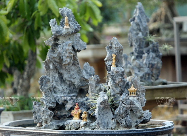 "Hô biến" những khối đá xù xì thành tác phẩm bonsai tinh xảo ảnh 13