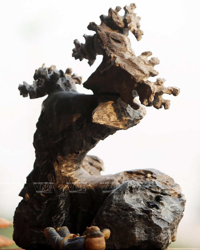 "Hô biến" những khối đá xù xì thành tác phẩm bonsai tinh xảo ảnh 10