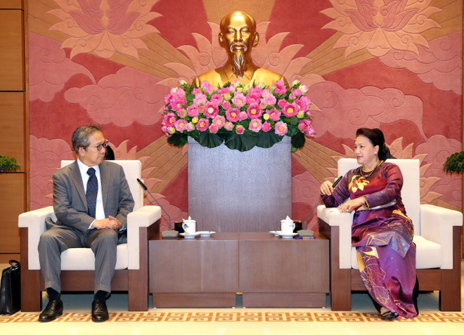 Chủ tịch Quốc hội Nguyễn Thị Kim Ngân tiếp Đại sứ Nhật Bản ảnh 1