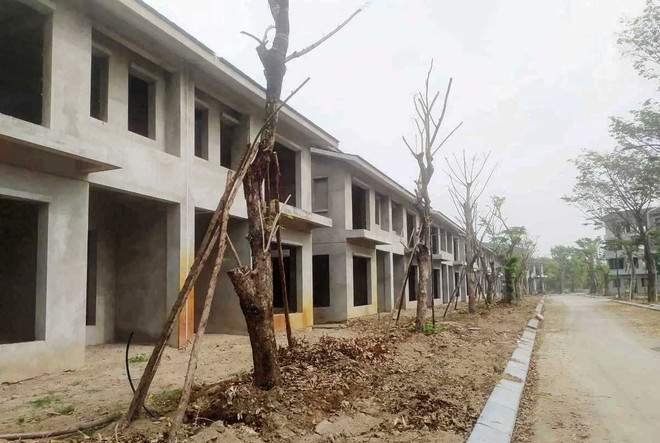 Hưng Yên gấp rút kiểm điểm cán bộ vi phạm liên quan đến Vườn Vạn Tuế ảnh 3