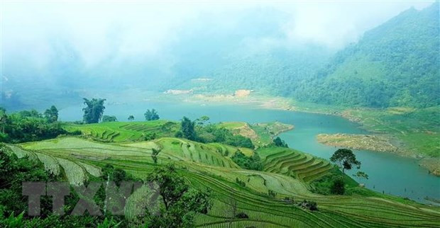 Ruộng bậc thang có ở hầu hết huyện Bát Xát, nhưng đẹp nhất là ở Ý Tý, Lao Chải, Ngải Thầu... (Ảnh: Quốc Khánh/TTXVN) Lào Cai: Nhiều lễ hội du lịch, chương trình nghệ thuật đặc sắc dịp 2/9 ảnh 1