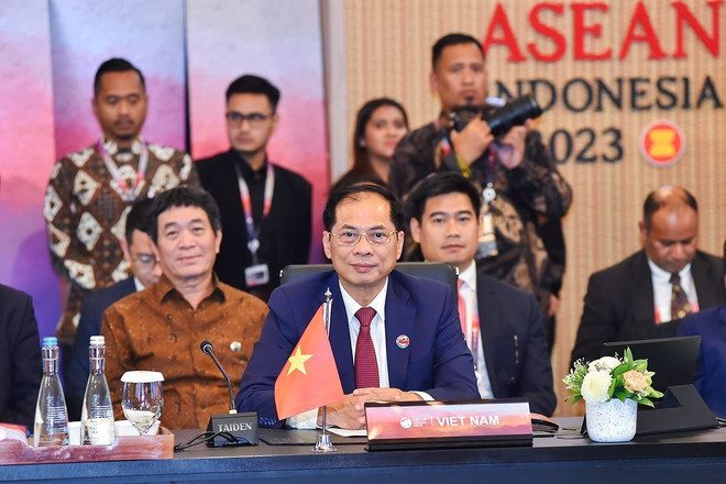 Bộ trưởng Ngoại giao Bùi Thanh Sơn gặp Bộ trưởng Ngoại giao Nhật Bản ảnh 1