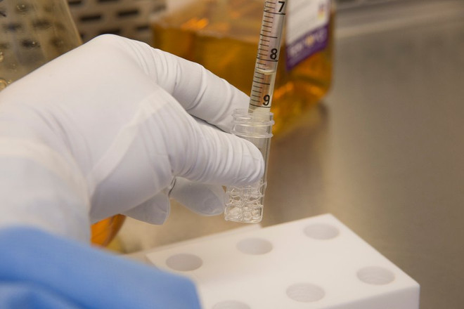 Chương trình tiêm cúm mùa ở Anh bị ảnh hưởng nghiêm trọng ảnh 1