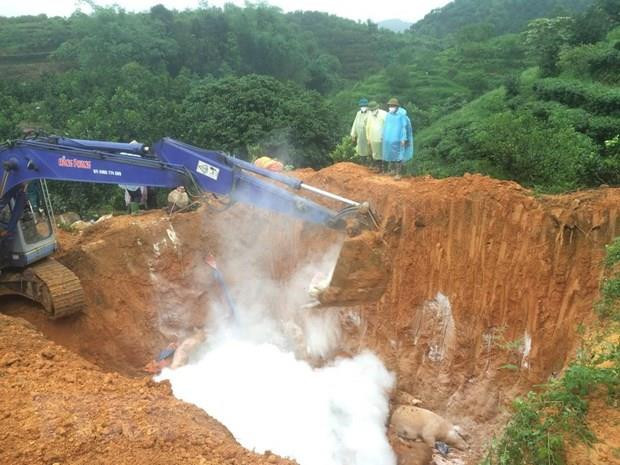 Lực lượng chức năng tỉnh Yên Bái rắc vôi, tiêu hủy lợn nhiễm bệnh. (Ảnh: Ngọc Anh/TTXVN) Ban Bí thư ban hành Chỉ thị về phòng, chống dịch tả lợn châu Phi ảnh 1