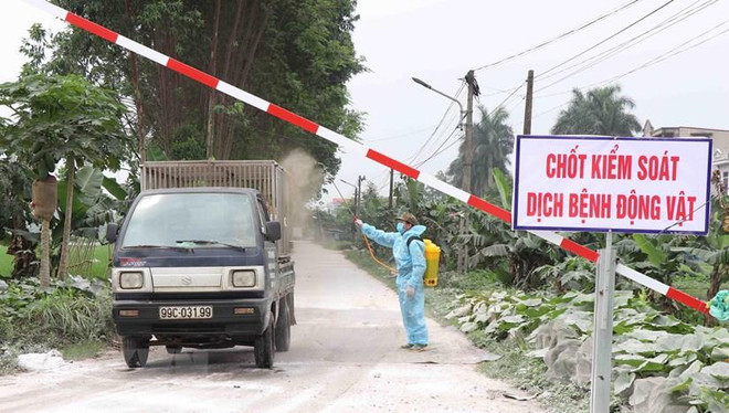 Lực lượng chức năng phường Khắc Niệm, thành phố Bắc Ninh, tỉnh Bắc Ninh phun khử trùng, tiêu độc các phương tiện ra vào địa phương. (Ảnh: Diệp Trương/TTXVN) Ban Bí thư ban hành Chỉ thị về phòng, chống dịch tả lợn châu Phi ảnh 2