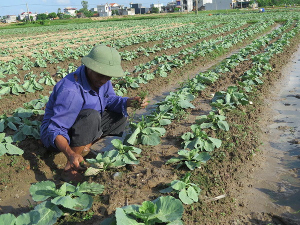 Thời tiết Bắc Bộ trở nên dễ chịu hơn, nắng giảm dần, nhiều mây ảnh 1