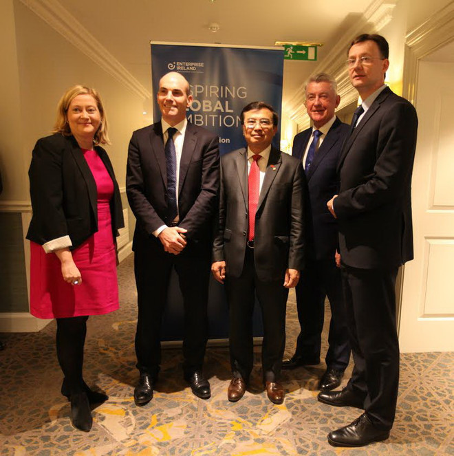 Phó Thủ tướng Trịnh Đình Dũng kết thúc tốt đẹp chuyến thăm Ireland ảnh 4