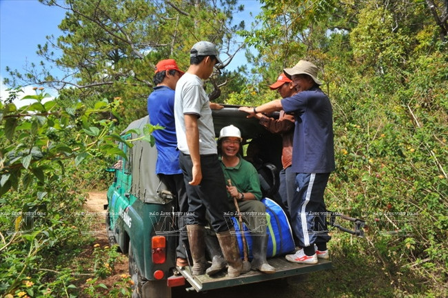 Khám phá đỉnh Lang Biang huyền thoại trên cao nguyên Lâm Đồng ảnh 3