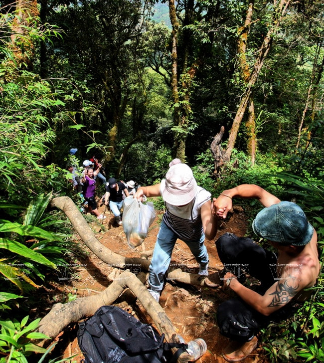 Khám phá đỉnh Lang Biang huyền thoại trên cao nguyên Lâm Đồng ảnh 2