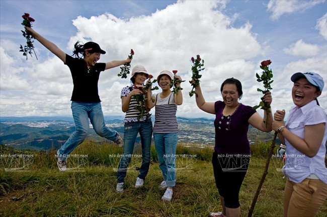 Khám phá đỉnh Lang Biang huyền thoại trên cao nguyên Lâm Đồng ảnh 7