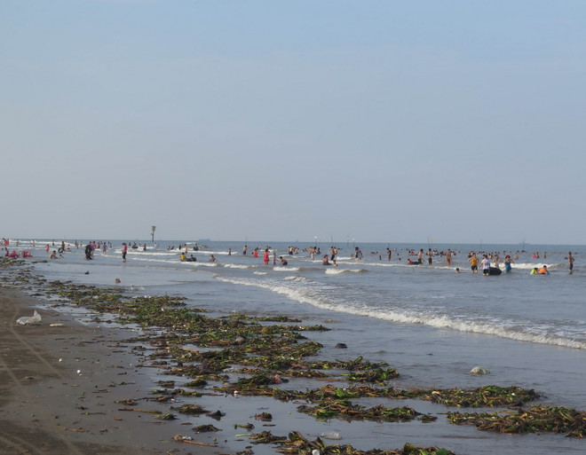 Nhếch nhác rác thải trôi dạt ở bãi biển đẹp nhất Thái Bình ảnh 1