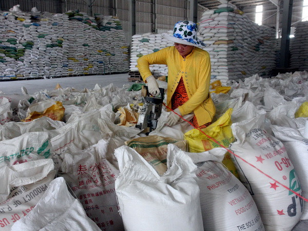 Đồng bằng sông Cửu Long đã xuất khẩu trên 4 triệu tấn gạo ảnh 1