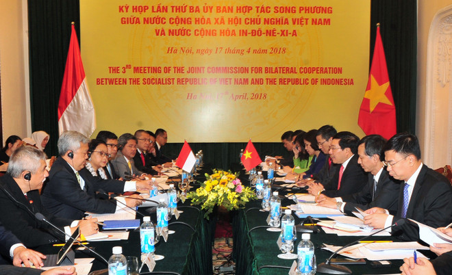Năm 2018 là năm đặc biệt với quan hệ giữa Việt Nam và Indonesia ảnh 1