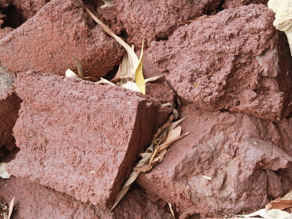 Hàng ngàn tấn chất thải lạ đổ giữa rừng tràm Đồng Nai ảnh 1