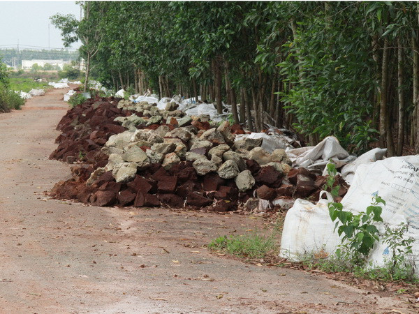 Hàng ngàn tấn chất thải lạ đổ giữa rừng tràm Đồng Nai ảnh 2