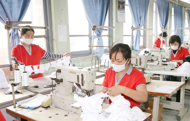 Mười hai hình ảnh thời sự đáng chú ý trong năm 2020 trên VietnamPlus ảnh 5