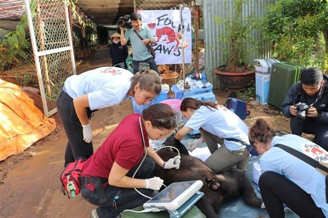 Đề xuất bổ sung quy định bảo vệ động vật hoang dã tại Việt Nam ảnh 1