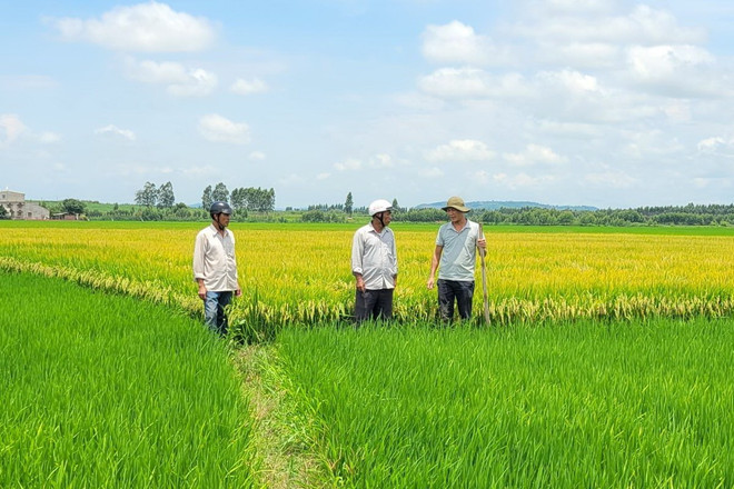 Người dân bức xúc vì diện tích canh tác bỗng chốc tăng lên bất thường và bị giả mạo chữ ký xác nhận. (Ảnh: Hoài Nam/TTXVN) ttxvn_bat_thuong_viec_thu_dich_vu_cong_ich_thuy_loi_tai_huyen_ia_pa_gia_lai_1309-2.jpg