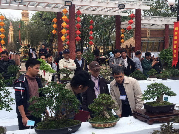 Ý nghĩa của cây sung trong ngày Tết cổ truyền ở Việt Nam ảnh 2