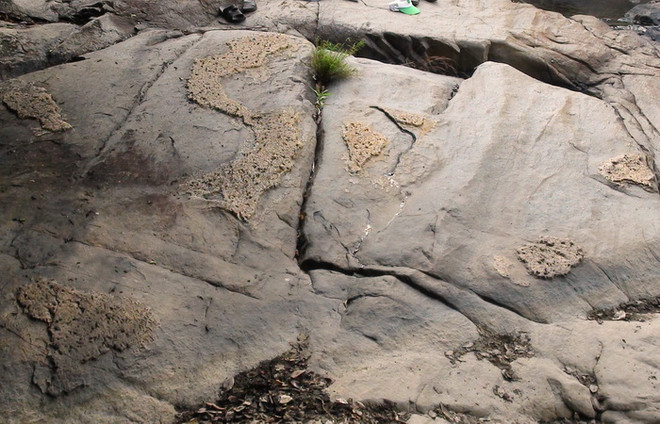 Phát hiện phiến đá nổi lên hình ảnh về bản đồ Việt Nam ảnh 2