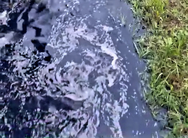 Tỉnh Bà Rịa-Vũng Tàu yêu cầu xử lý dứt điểm ô nhiễm tại suối Giao Kèo ảnh 1