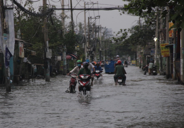 TP. Hồ Chí Minh có thể bị ngập dịp Tết do mưa trái mùa và triều cường ảnh 1