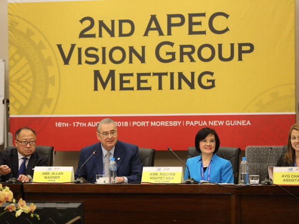 Việt Nam tích cực tham gia các hội nghị quan chức cấp cao APEC ảnh 1