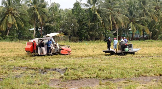 Nông nghiệp Việt Nam chuyển hướng sang tích hợp đa giá trị ảnh 1