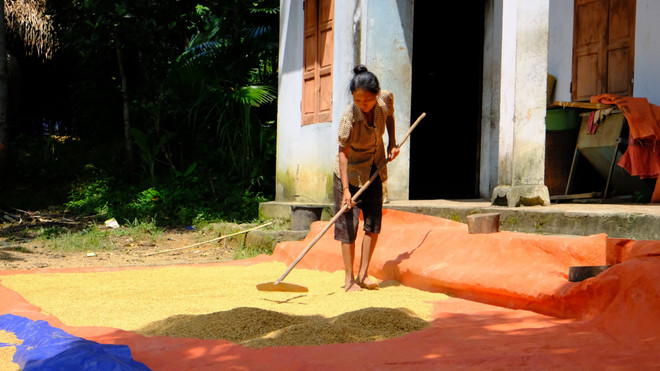 Nghệ An: Cuộc sống mới của người dân tộc thiểu số Đan Lai ảnh 2