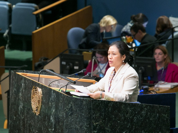 Việt Nam đánh giá cao vai trò và nỗ lực của IAEA ảnh 1